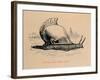 'Fabius, the slow coach', 1852-John Leech-Framed Giclee Print