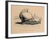 'Fabius, the slow coach', 1852-John Leech-Framed Giclee Print