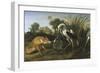 Fable of the Fox and the Heron-Frans Snyders-Framed Giclee Print