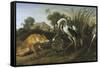 Fable of the Fox and the Heron-Frans Snyders-Framed Stretched Canvas