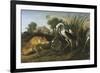 Fable of the Fox and the Heron-Frans Snyders-Framed Giclee Print