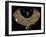 Fabric Breastplate with Gold and Silver Trimmings-null-Framed Giclee Print