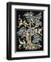 Fabric for Kimono-null-Framed Giclee Print