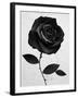 Fabric Rose-Ruben Ireland-Framed Art Print