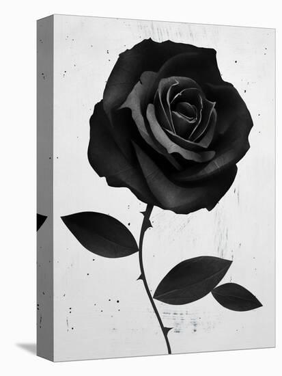 Fabric Rose-Ruben Ireland-Stretched Canvas