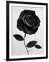 Fabric Rose-Ruben Ireland-Framed Art Print