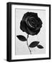 Fabric Rose-Ruben Ireland-Framed Art Print