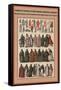 Fabrics and Robes of the Roman Catholic Church-Friedrich Hottenroth-Framed Stretched Canvas