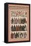 Fabrics and Robes of the Roman Catholic Church-Friedrich Hottenroth-Framed Stretched Canvas