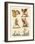 Fabulous Animals-null-Framed Giclee Print