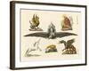 Fabulous Animals-null-Framed Giclee Print