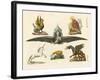 Fabulous Animals-null-Framed Giclee Print