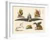 Fabulous Animals-null-Framed Giclee Print