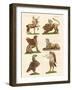 Fabulous Animals-null-Framed Giclee Print