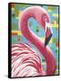 Fabulous Flamingos I-Carolee Vitaletti-Framed Stretched Canvas