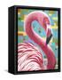 Fabulous Flamingos I-Carolee Vitaletti-Framed Stretched Canvas