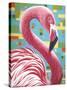 Fabulous Flamingos I-Carolee Vitaletti-Stretched Canvas