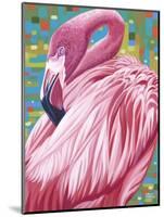 Fabulous Flamingos II-Carolee Vitaletti-Mounted Art Print