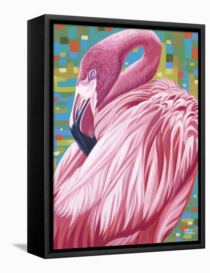 Fabulous Flamingos II-Carolee Vitaletti-Framed Stretched Canvas