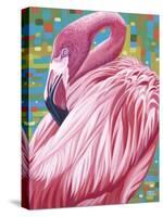 Fabulous Flamingos II-Carolee Vitaletti-Stretched Canvas