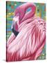 Fabulous Flamingos II-Carolee Vitaletti-Stretched Canvas