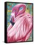 Fabulous Flamingos II-Carolee Vitaletti-Framed Stretched Canvas