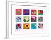 Fabulous Flowers-Gerry Baptist-Framed Giclee Print