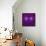 Fabulous Fractal Pattern in Purple-velirina-Framed Stretched Canvas displayed on a wall