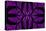 Fabulous Symmetric Pattern of the Leaves in Purple-velirina-Stretched Canvas