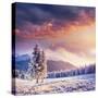 Fabulous Winter Landscape in the Mountains-standret-Stretched Canvas