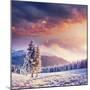 Fabulous Winter Landscape in the Mountains-standret-Mounted Photographic Print