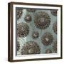 Fabulousfiligree-Mindy Sommers-Framed Giclee Print