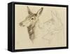 Fac-Simile of a Drawing by Sir E Landseer, Ra-Edwin Landseer-Framed Stretched Canvas