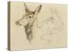 Fac-Simile of a Drawing by Sir E Landseer, Ra-Edwin Landseer-Stretched Canvas