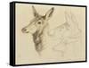 Fac-Simile of a Drawing by Sir E Landseer, Ra-Edwin Landseer-Framed Stretched Canvas