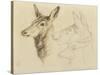 Fac-Simile of a Drawing by Sir E Landseer, Ra-Edwin Landseer-Stretched Canvas