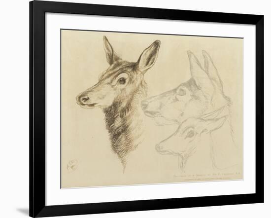 Fac-Simile of a Drawing by Sir E Landseer, Ra-Edwin Landseer-Framed Giclee Print