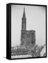 Façade de la cathédrale de Strasbourg-null-Framed Stretched Canvas