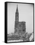 Façade de la cathédrale de Strasbourg-null-Framed Stretched Canvas