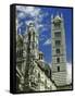 Facade, Dome and Bell Tower of Duomo Santa Maria Del Fiore, Florence-Gjon Mili-Framed Stretched Canvas