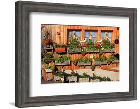 Facade of a Farmhouse decorated with Flowers, Beatenberg, Canton of Bern, Switzerland-null-Framed Art Print