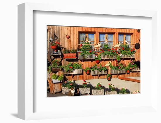 Facade of a Farmhouse decorated with Flowers, Beatenberg, Canton of Bern, Switzerland-null-Framed Art Print