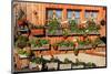 Facade of a Farmhouse decorated with Flowers, Beatenberg, Canton of Bern, Switzerland-null-Mounted Art Print