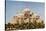 Facade of a Temple, Akshardham, Delhi, India-jackmicro-Stretched Canvas