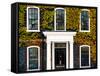 Facade of an English House with Ivy Leaves - Mallinson House in St Albans - London - UK-Philippe Hugonnard-Framed Stretched Canvas