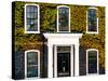 Facade of an English House with Ivy Leaves - Mallinson House in St Albans - London - UK-Philippe Hugonnard-Stretched Canvas
