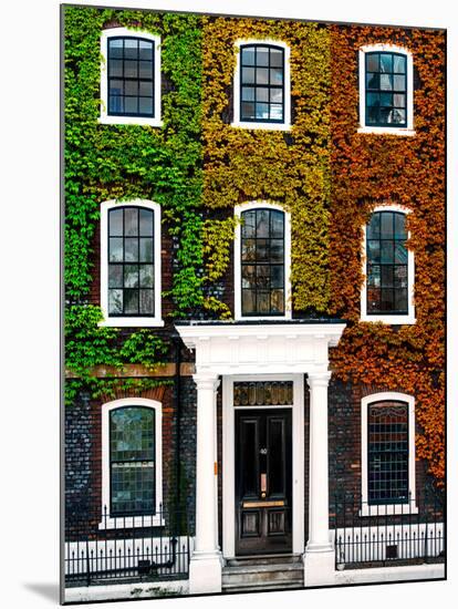 Facade of an English House with Ivy Leaves - Mallinson House in St Albans - London - UK-Philippe Hugonnard-Mounted Photographic Print