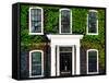 Facade of an English House with Ivy Leaves - Mallinson House in St Albans - London - UK-Philippe Hugonnard-Framed Stretched Canvas