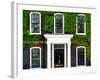 Facade of an English House with Ivy Leaves - Mallinson House in St Albans - London - UK-Philippe Hugonnard-Framed Photographic Print