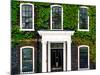 Facade of an English House with Ivy Leaves - Mallinson House in St Albans - London - UK-Philippe Hugonnard-Mounted Photographic Print